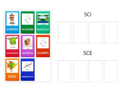   SCI E SCE