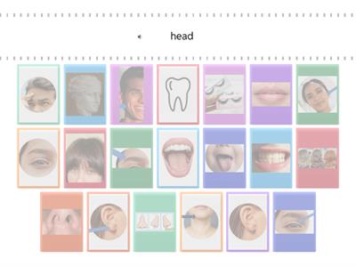 ESL Beginner Head/Face Vocabulary -- Matching