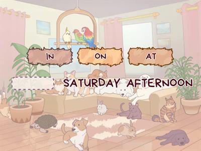 PREPOSITIONS - PRACTICE - IN - ON - AT