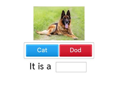 Сопоставление 