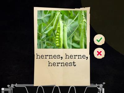 Vegetables (Estonian-Russian)