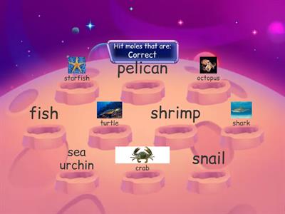 LH1U4: - Sea animals - Whack a mole 