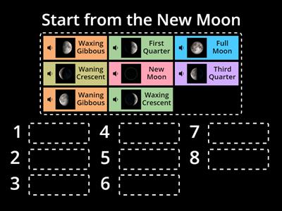 四年級雙語自然-Moon Phases
