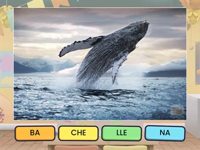 Adicion Silabica (2b)