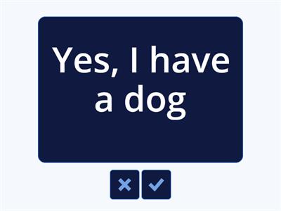 What is the question?