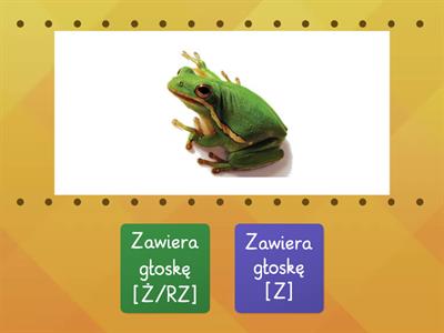 Poszukiwacze szumów. Wskaż, czy dane słowo ma w sobie głoskę [ż/rz]. Poproś kogoś o nazywanie obrazków.