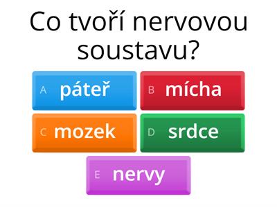 Nervová soustava