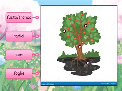 Le  parti di un albero