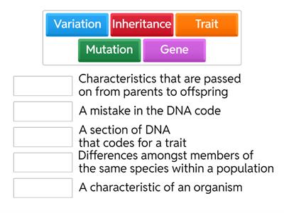 Variation and Survival Vocabulary