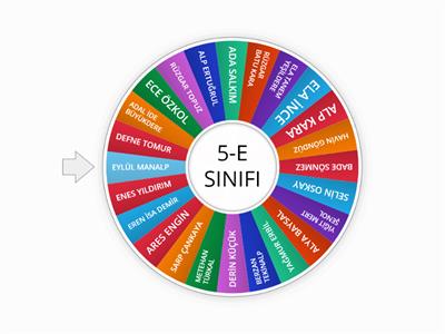 5-E SINIFI