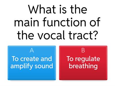 Quiz: Understanding the Vocal Tract and Articulators