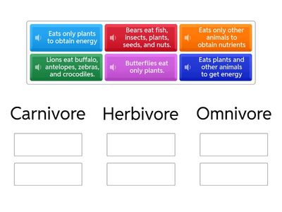 Carnivore, Herbivore, Omnivore