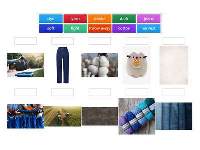 Academy stars 5_unit 6