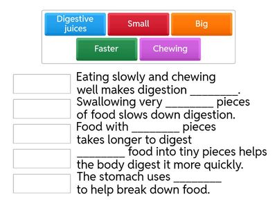 Keywords Drill Activity: Digestive System