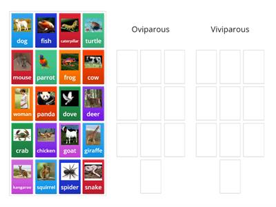Viviparous and Oviparous 