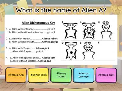 Dichotomous Keys Practice for quiz
