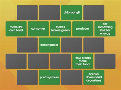 Unit 5 Vocabulary