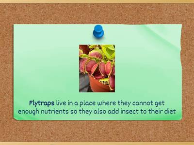 Vital functions of plants