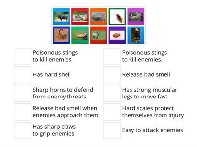 Special characteristics of animals ( M.Thilaga)