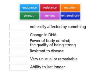 Vocabulary Match: Key Terms