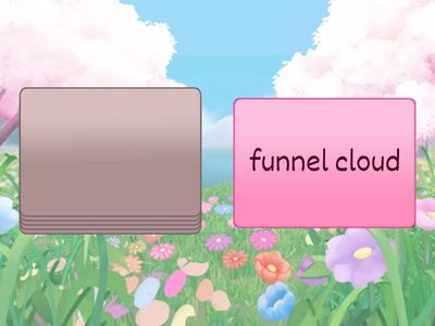 Word Sneak 3rd Grade Unit 2 Lesson 3 Vocab