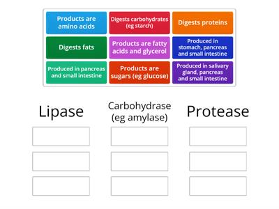 Enzymes