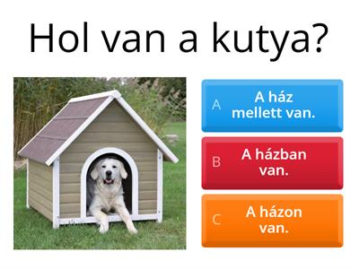 Hol-hova?