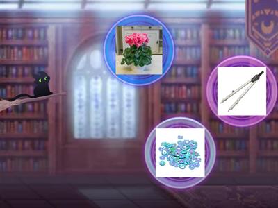 Kotek głoska [c] nagłos