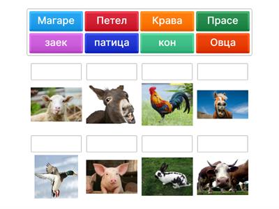 Животни във фермата