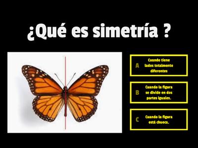 Actividad de Simetria 4 Básico