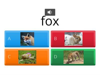 Animals Quiz!