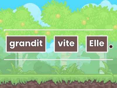 Les verbes en -ir au present