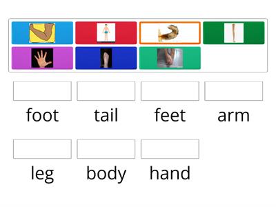 Kid`s box1 Unit 7 (body parts)