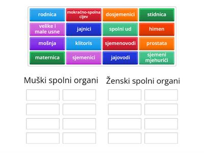 Biologija spolni organi 8. r