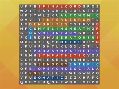 Nervous System Wordsearch 
