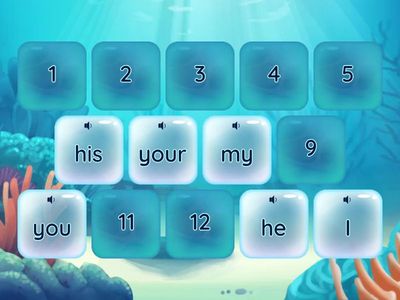 Possesive adjectives