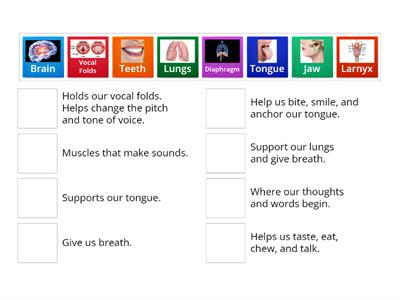 Speech Mechanism Match-Up