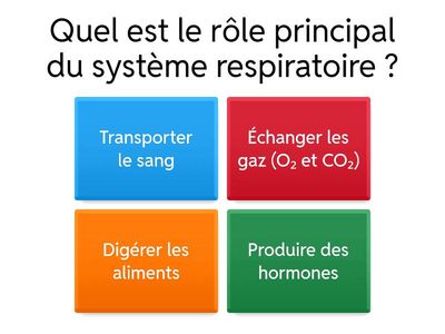 Le système respiratoire