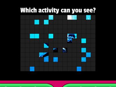 Leisure Activities (Preliminary)