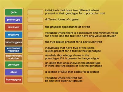 S3 BGE 3.4 Inheritance Key Terms