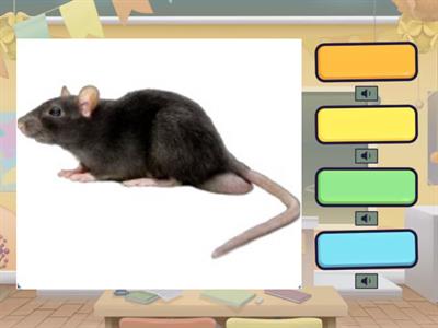 Автоматизація Ш слух