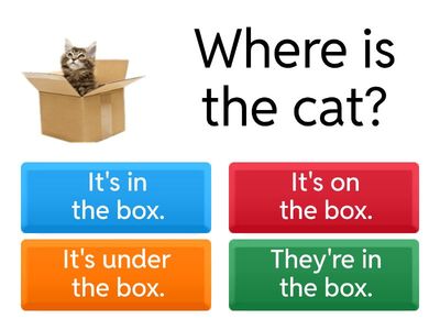 "Where is it?  /   Where are they?"