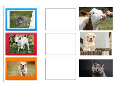 дидактикалық ойын