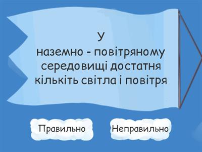 Наземно - повітряне середовище