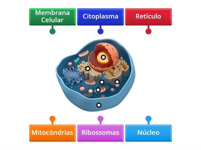 Células eucarióticas