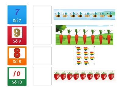 Nối số với số lượng tương ứng