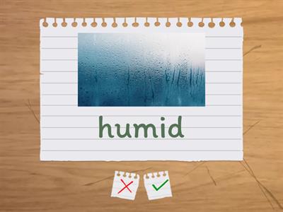 Think A2. Unit 9. Vocabulary