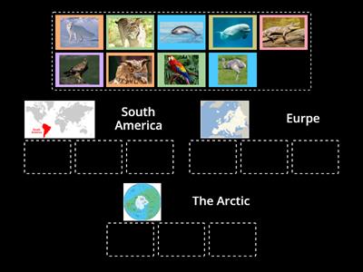 ANIMALS AROUND THE WORLD