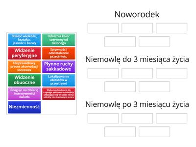 Percepcja wzrokowa