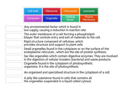 L2 Cell Biology. Cell Structures Definitions
